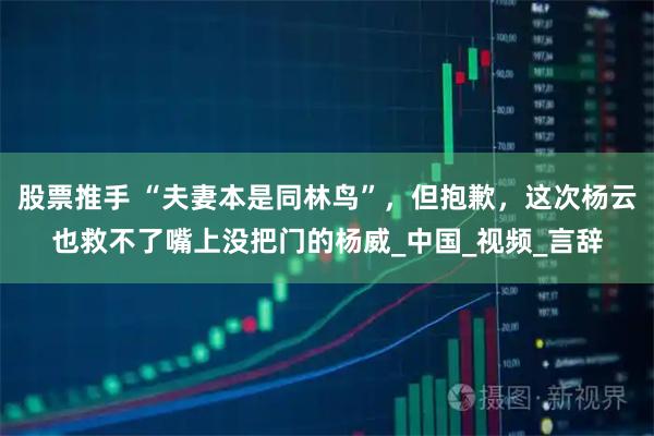 股票推手 “夫妻本是同林鸟”，但抱歉，这次杨云也救不了嘴上没把门的杨威_中国_视频_言辞