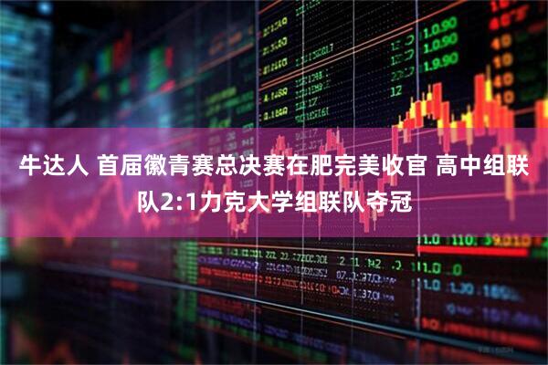 牛达人 首届徽青赛总决赛在肥完美收官 高中组联队2:1力克大学组联队夺冠