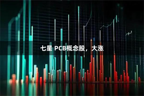 七星 PCB概念股，大涨