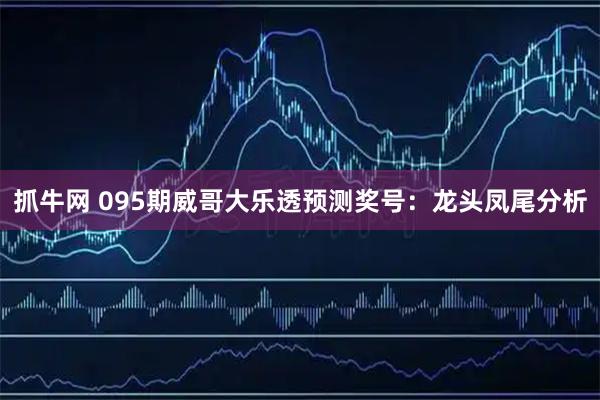 抓牛网 095期威哥大乐透预测奖号：龙头凤尾分析